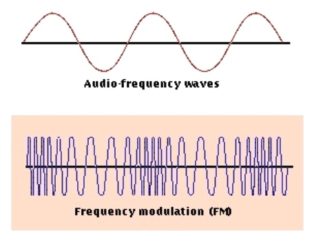 frequency modulation cast